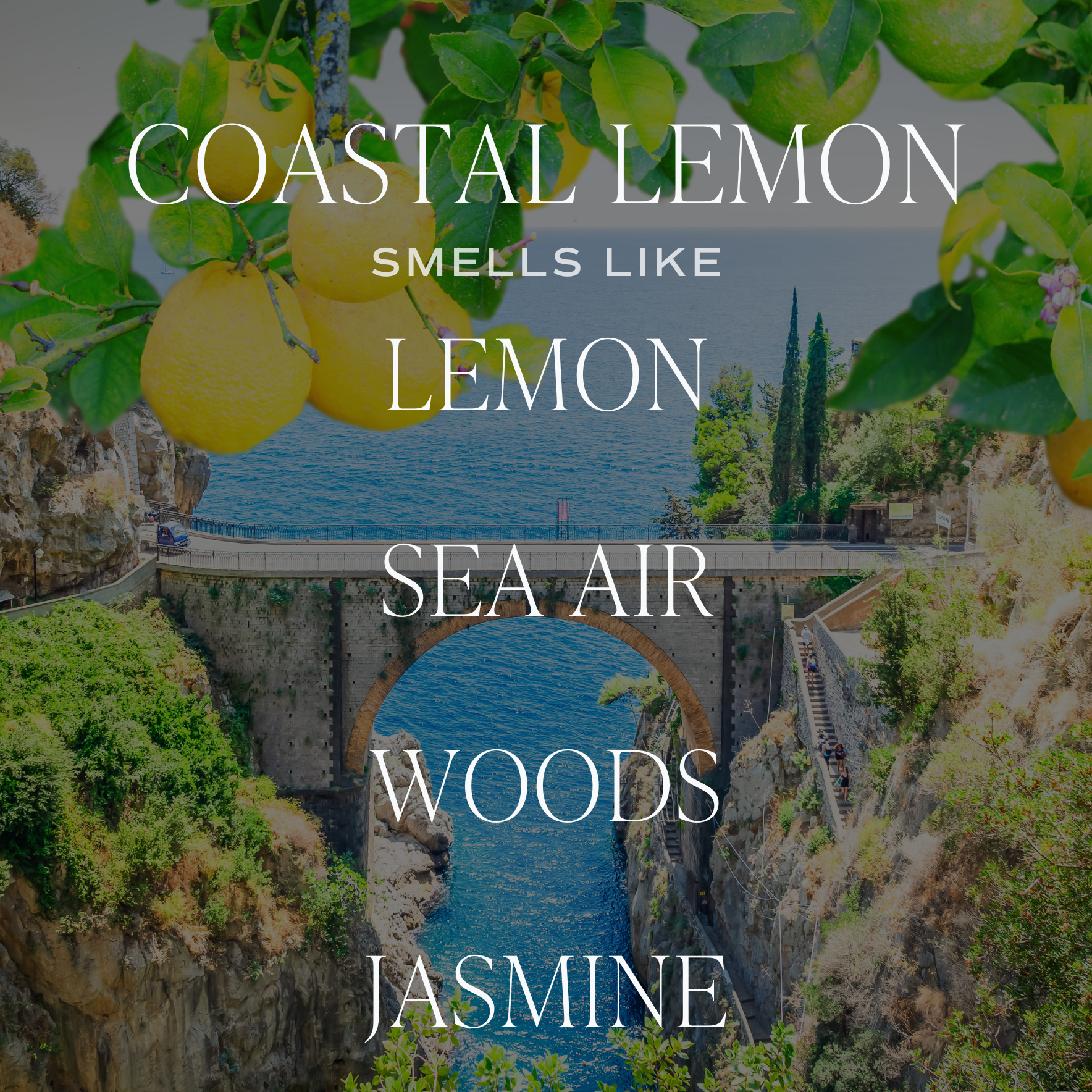 Costal Lemon —  Soy Candle