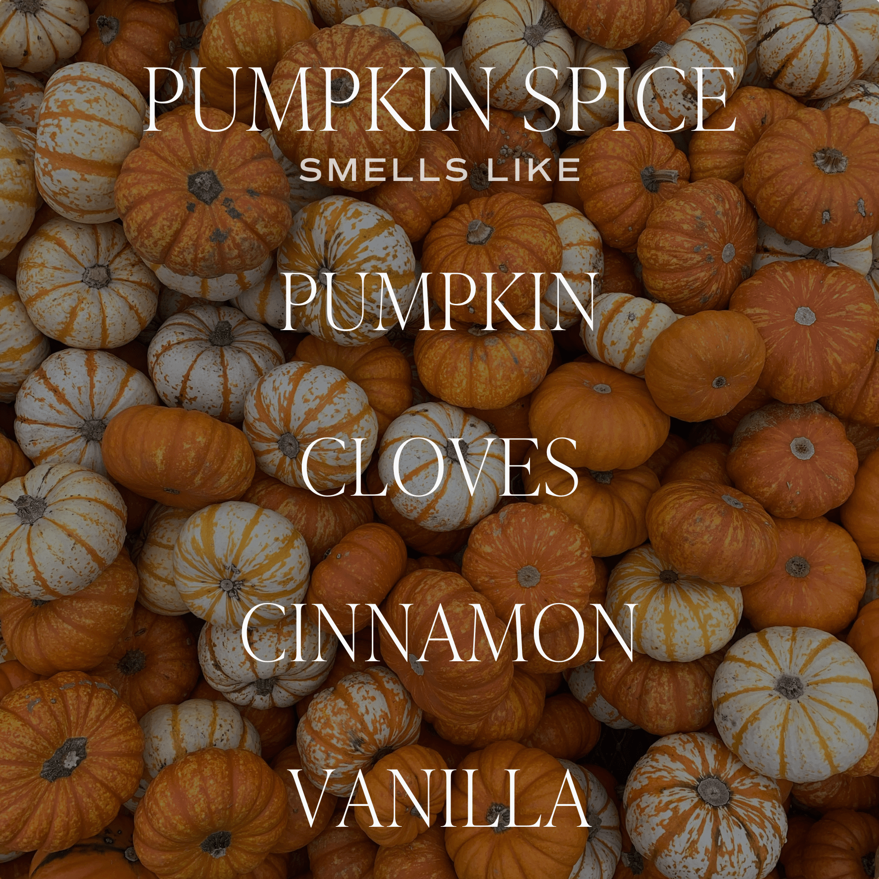 Pumpkin Spice — Soy Candle
