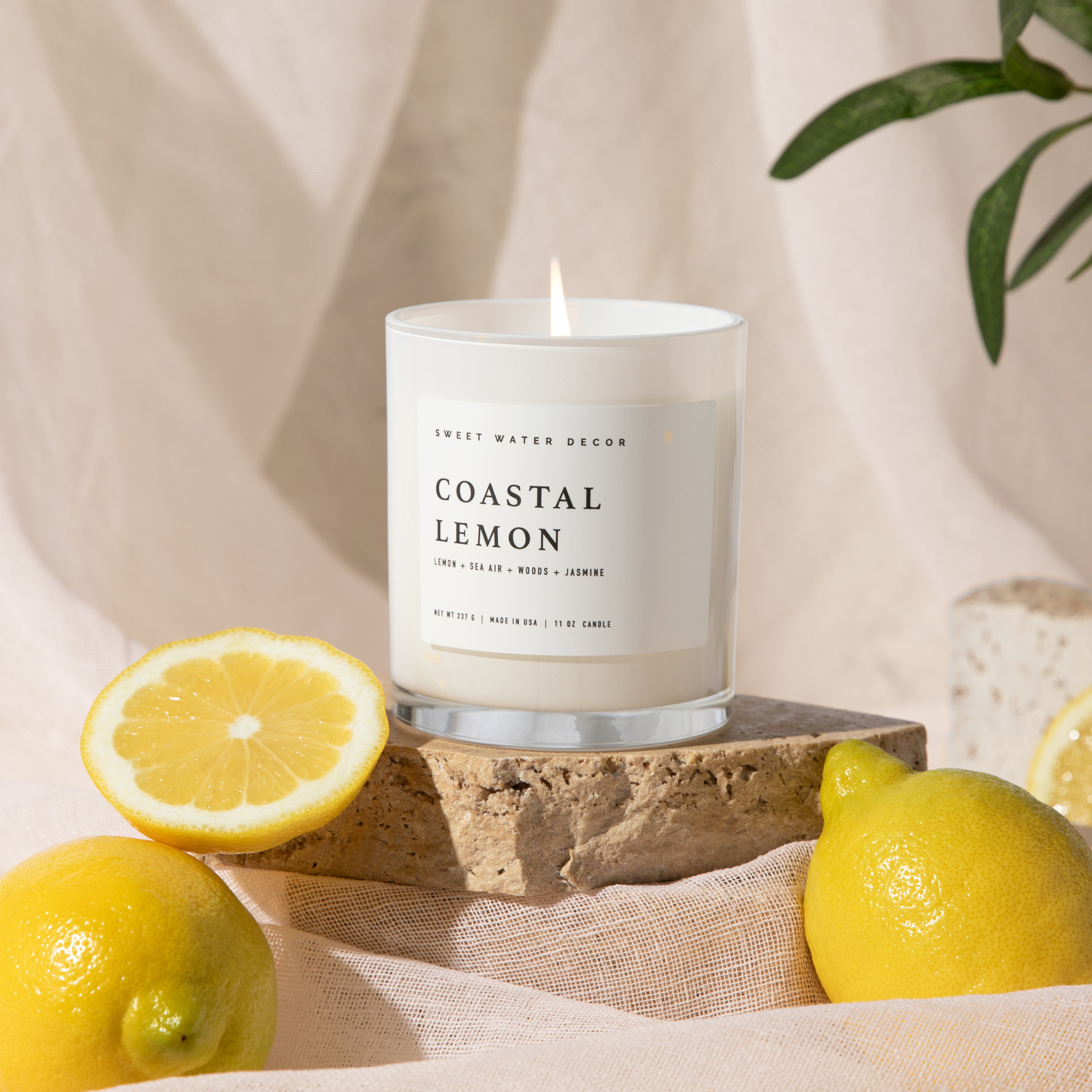 Costal Lemon —  Soy Candle